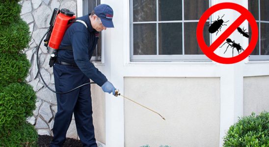 Mudurnu Kemirgen İlaçlama böcek ilaçlama ve haşere kontrolü — ilaclama-tr.com
